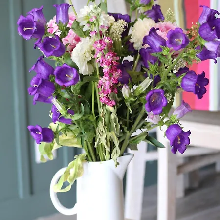 Le Moulin D'angibaud * La Flotte