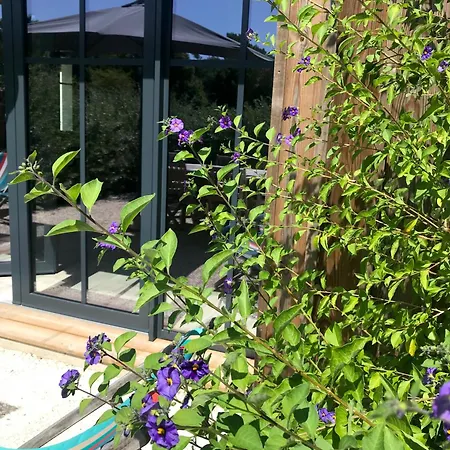 Le Moulin D'angibaud Dom wakacyjny