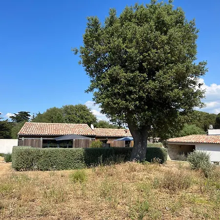 Le Moulin D'angibaud