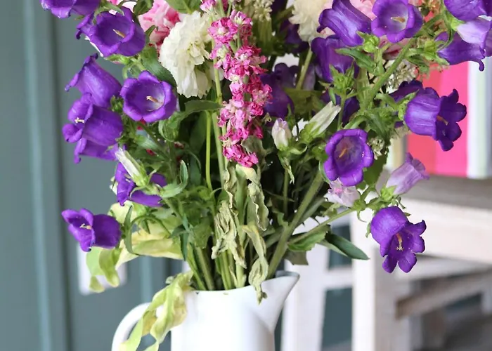 Le Moulin D'angibaud * La Flotte