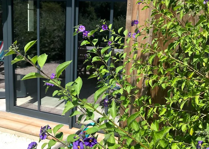 Le Moulin D'angibaud Сasa de vacaciones