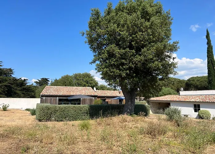 Le Moulin D'angibaud